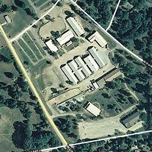 entire grounds